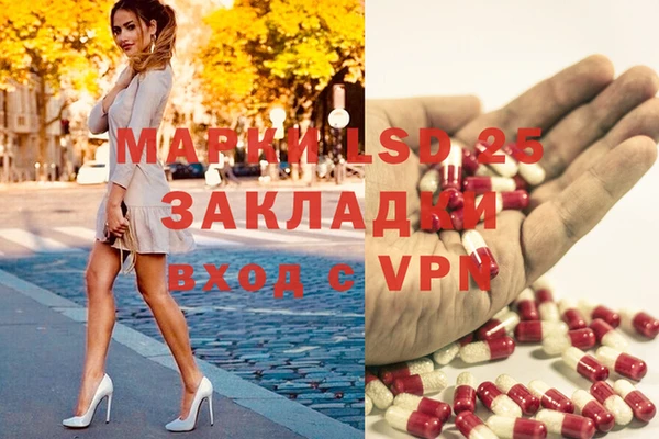 шишки Баксан