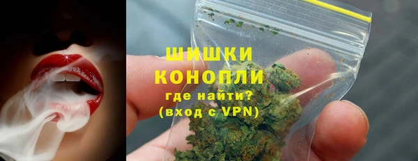 шишки Баксан