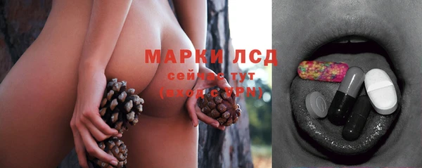 PSILOCYBIN Балабаново