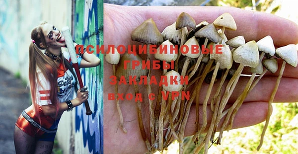 герыч Балахна