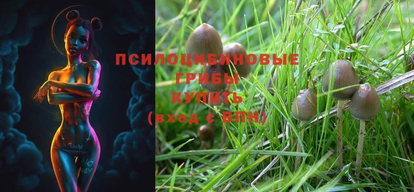 PSILOCYBIN Балабаново
