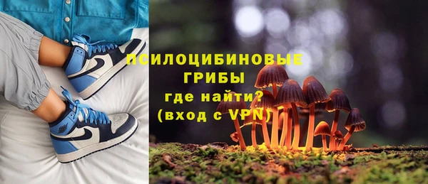 шишки Баксан