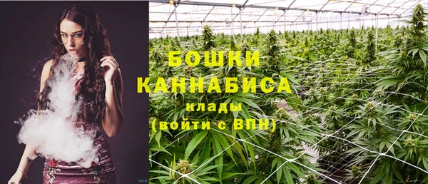 PSILOCYBIN Балабаново